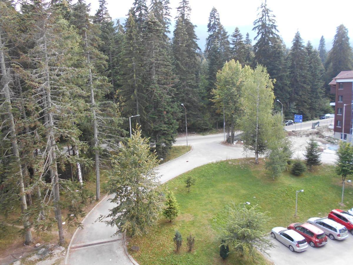 Valentina'S Studio In "Borovets Gardens" Hotel 외부 사진